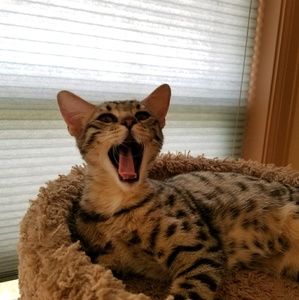 Meet your Posher, Catherine